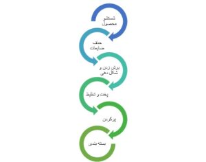 فلوچارت خط تولید مربا